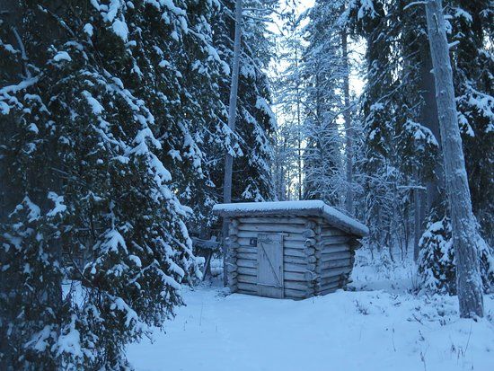 Forestry Museum of Lapland